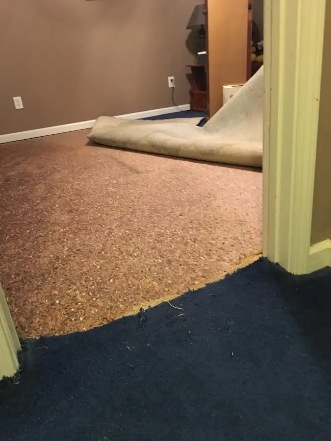 Carpet pad removal revealing water damage during Drying & Dehumidification in Pahokee